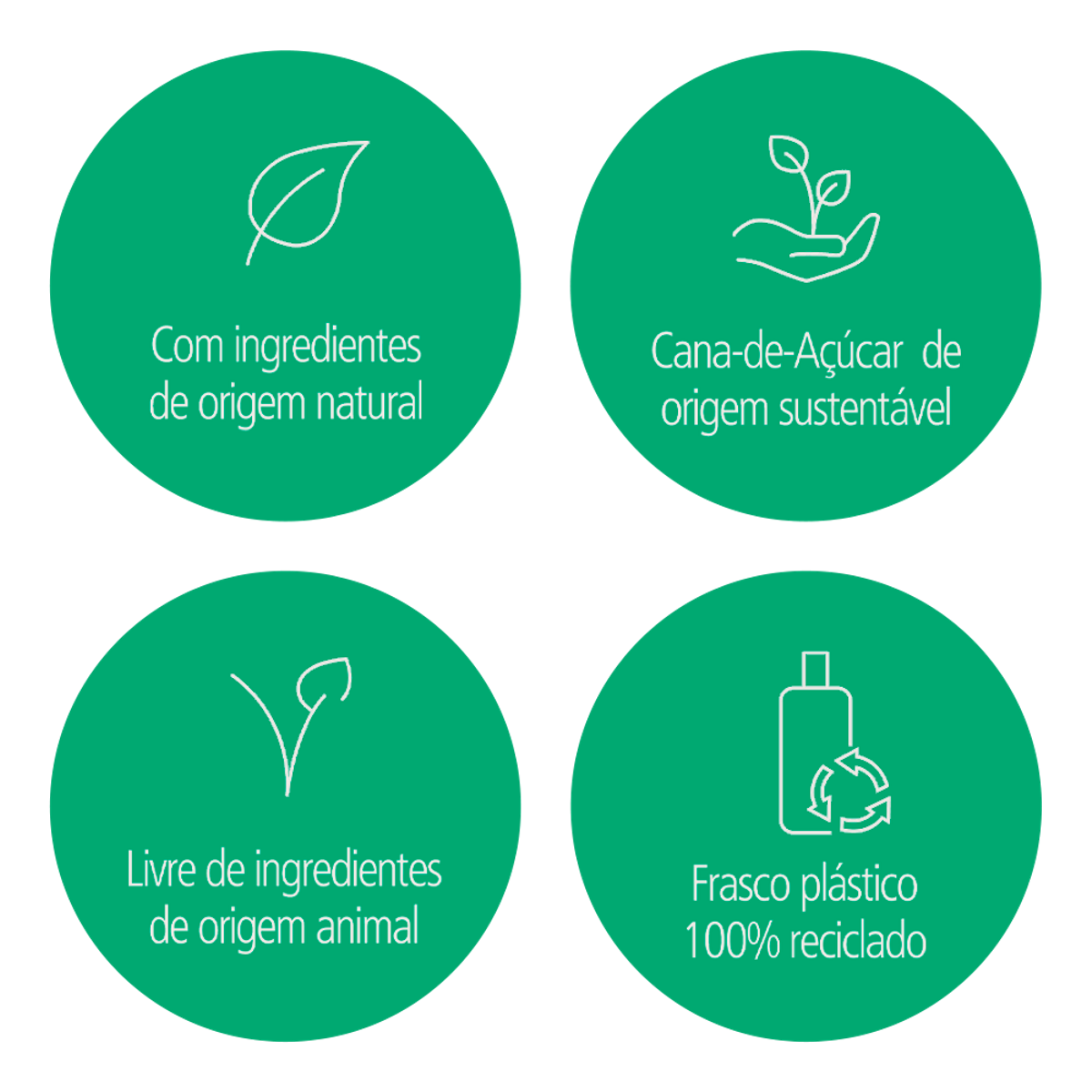 Shampoo Cabeleira Lisa Cana-de-Açúcar 300ml - Image 2